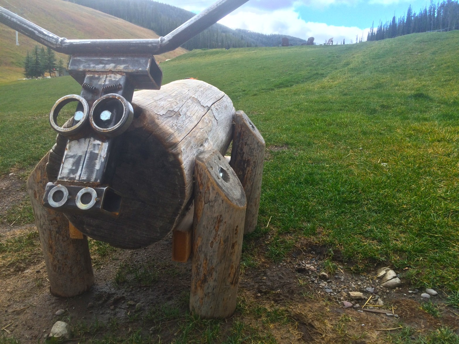 A bison friend I made at the Western Literature Association Annual Conference in Big Sky, Montana.